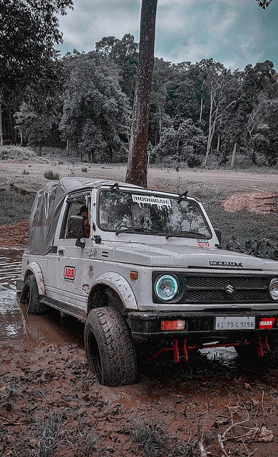 适应勇士的 适应勇士的