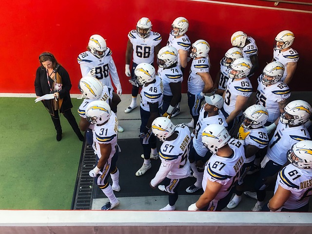 我们不仅看 我们不仅看