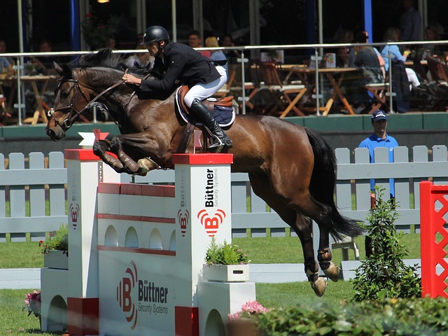 [乒乓球]健康早间操：刘国正带来灵敏性及爆发力训练.